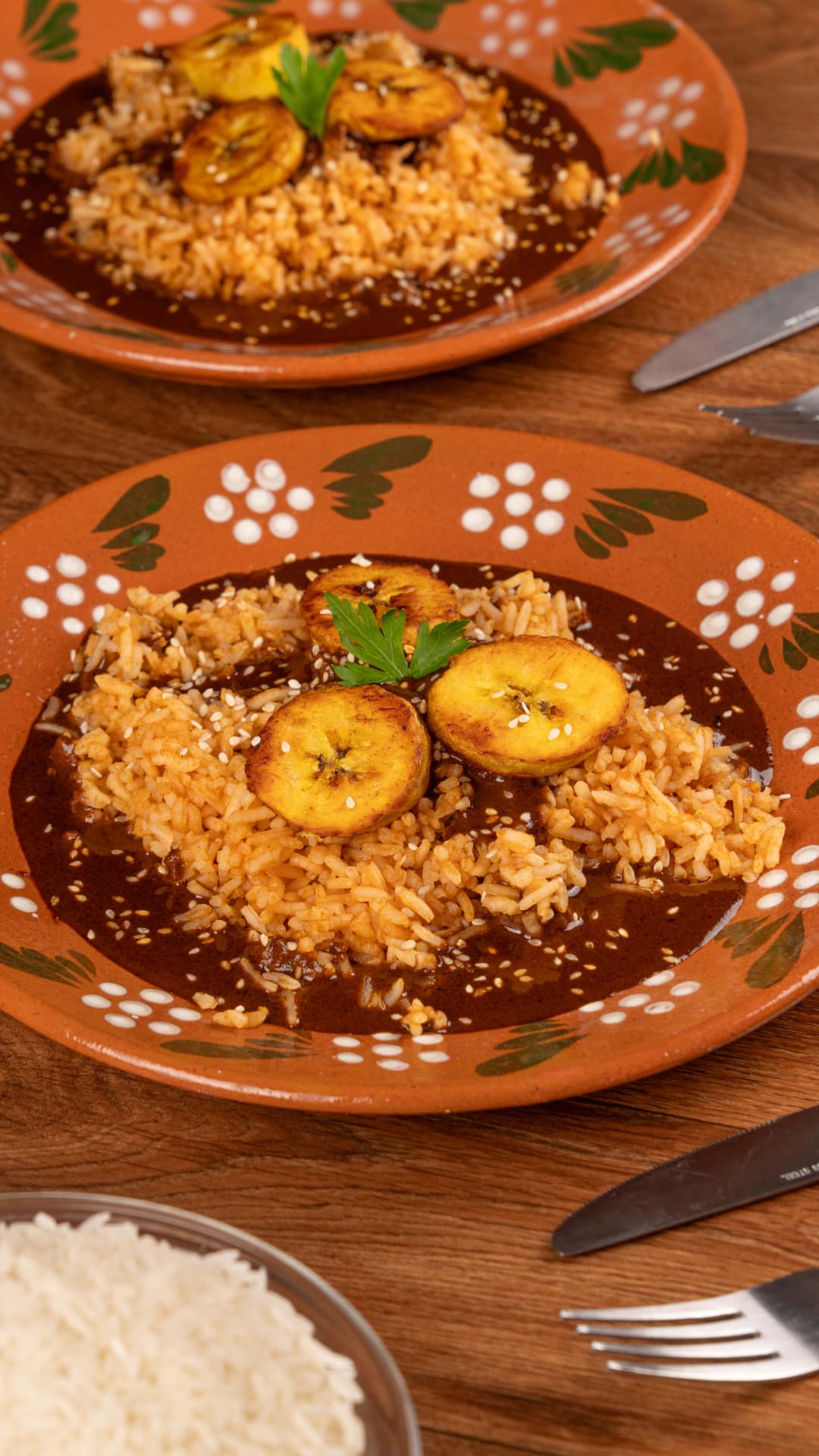 Mole con arroz rojo y plátano servido en plato de barro